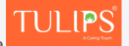 brand-logo